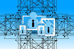 华体会手机网站-篮球专项技能课程创新与教学方法研究，篮球专项技术训练要点